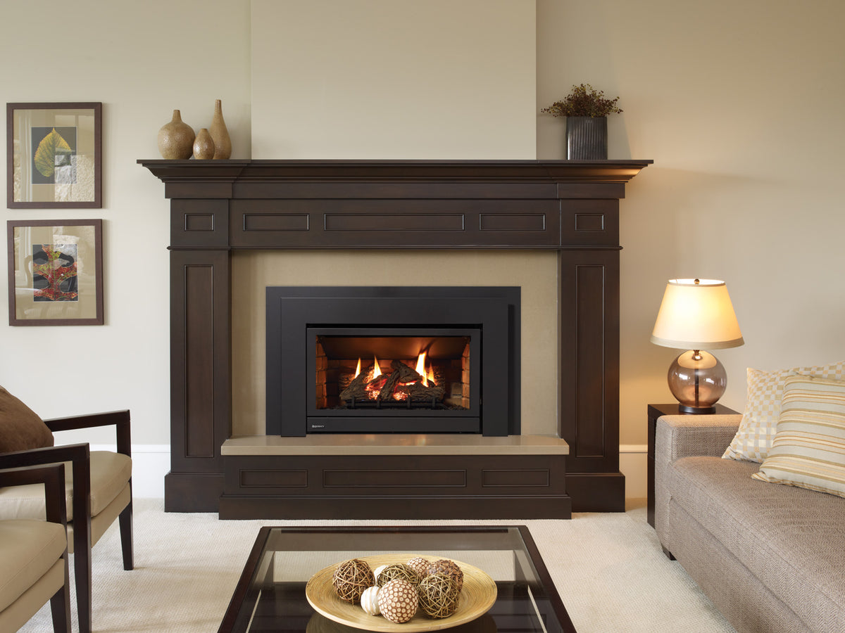 Regency 2 B-Vent Insert Burner LP/NG (402-512) - Image 4