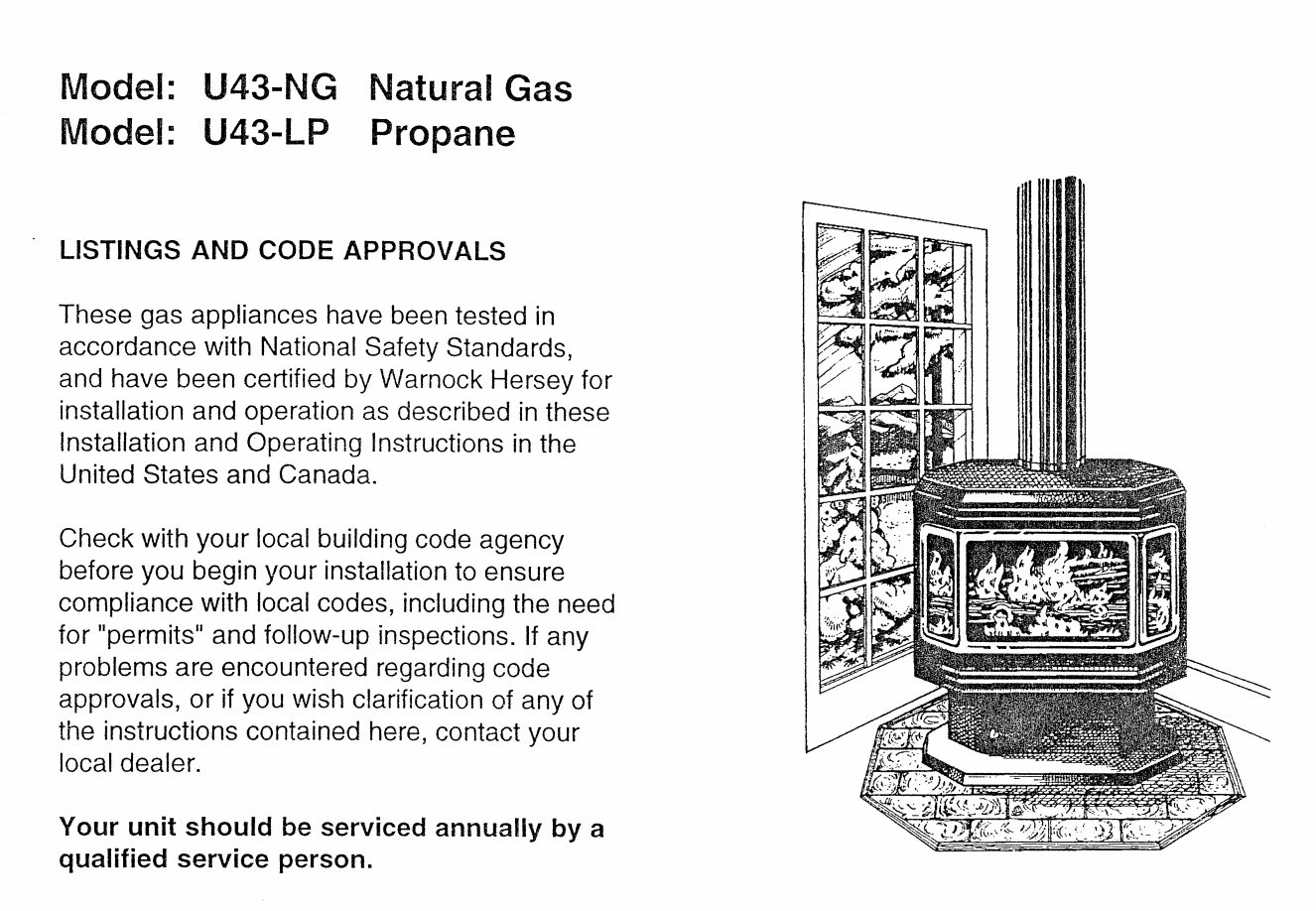 Regency Fireplaces -3 / -3 Burner Replacement (653-531) - Image 5